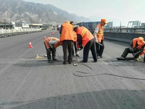 金凤道路桥梁病害治理